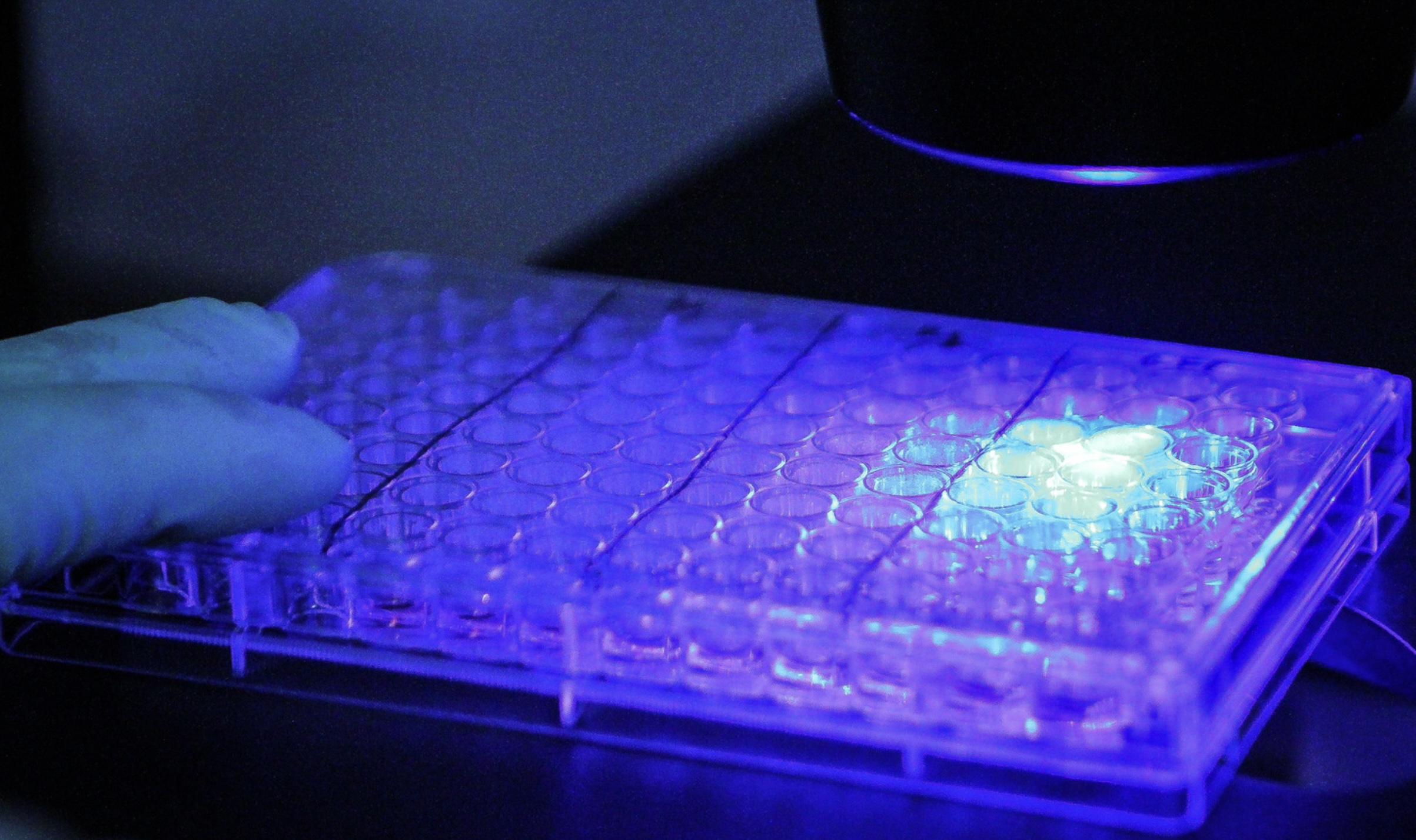 fluorescence